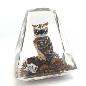 Vintage Hand Carved Petrified Wood Acrylic Owl Paperweight Made in Canada 4"